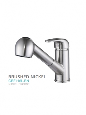 Skyline Faucet in Brushed Nickel (Regular price $207) - 7 available